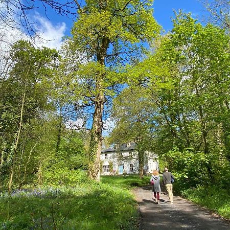 Blackhill Woods Retreat Abbeyleix Eksteriør billede