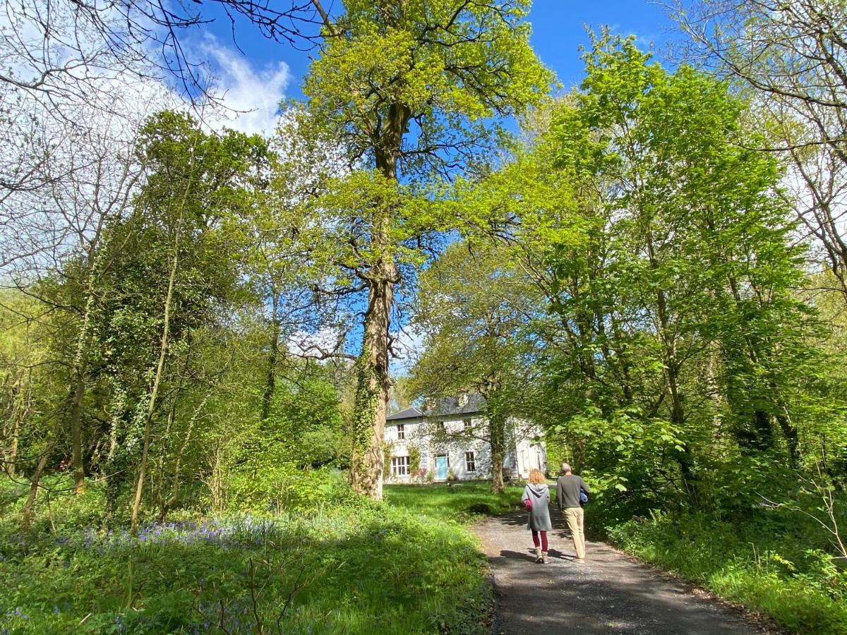 Blackhill Woods Retreat Abbeyleix Eksteriør billede