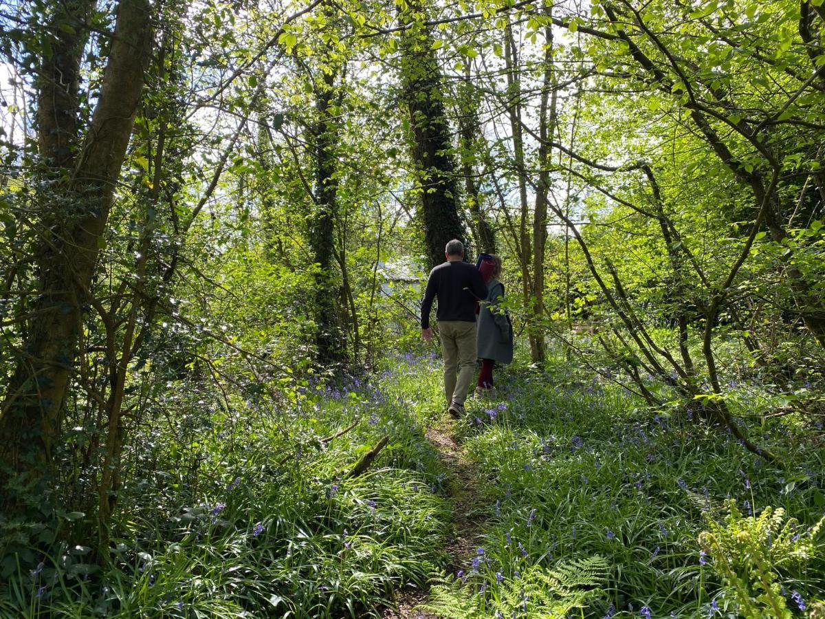Blackhill Woods Retreat Abbeyleix Eksteriør billede
