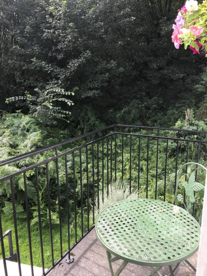 Blackhill Woods Retreat Abbeyleix Eksteriør billede