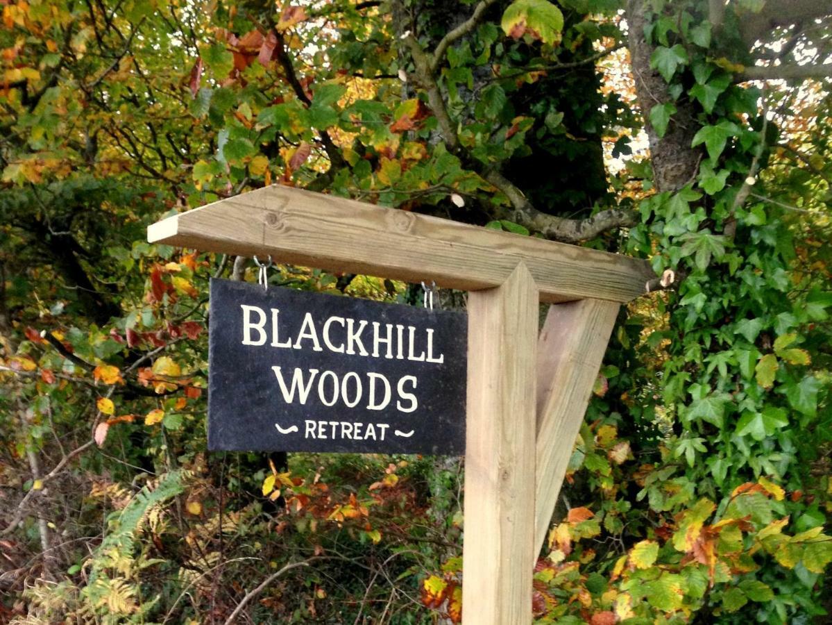 Blackhill Woods Retreat Abbeyleix Eksteriør billede