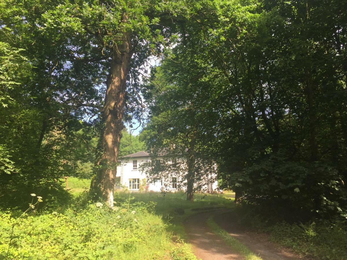 Blackhill Woods Retreat Abbeyleix Eksteriør billede